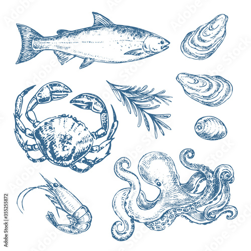 Hand drawn sketch illustration with seafood. Octopus, salmon, shrimp, crab and oysters