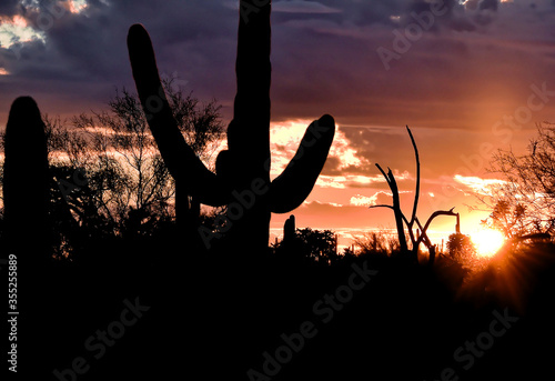 Sunset in Arizona with Multi-Colored Sky © Leonard