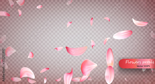 Pink sakura falling petals vector background. Wedding, Valentine or Women day pink floral blossoms flying in wind whirl backdrop. Petals falling on vector transparent background. Vecto 10 EPS