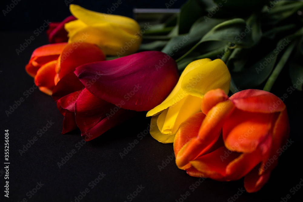 red and yellow tulips on black red and yellow tulips on black