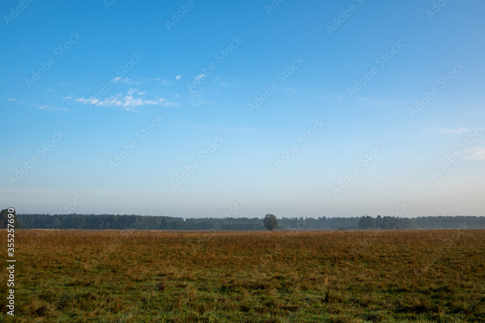 Mallertshofener Heide, a heath nature reserve between Unterschleißheim and Garching near Munich Mallertshofener Heide, a heath nature reserve between Unterschleißheim and Garching near Munich