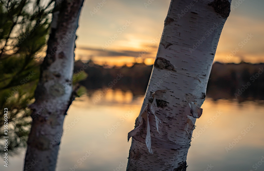 Fototapeta premium Lakeshore at Sunset