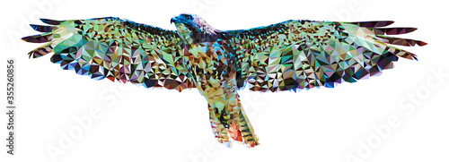 Polygonal image of a falcon on a white background. Made in low poly technique