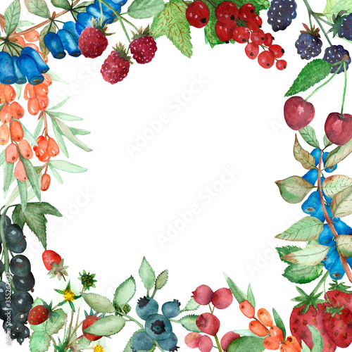 Watercolor hand painted nature berry squared border frame with blackberries, black currants, cherries, strawberries, cranberries, sea buckthorn, red currants, honeysuckle berry card 