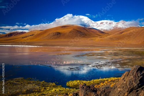Laguna Colorada in Bolivia - Reserva Nacional de Fauna Andina Eduardo Avaroa - Eduardo Alvaroa National Reserve in Bolivia photo