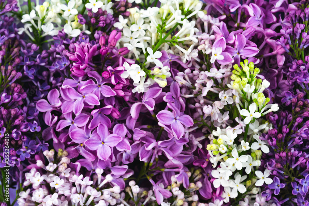 Rustic lilac flower pattern background for decorative design. Elegant floral summer green garden background. Purple greeting, wedding invitation template. Beautiful spring garden pattern wallpaper.