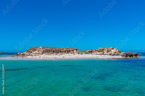 Sea lions at Essex rocks nature reserve in Australia photo