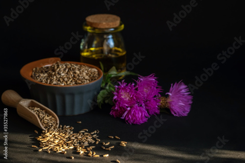 Milk thistle (Silybum marianum) seeds and flowers on a black background.  Medical plants. Alternative medicine. Copy space