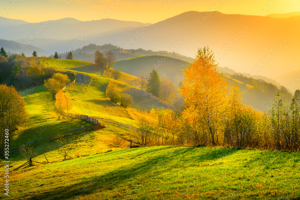Fototapeta Autumn background with alpine meadow