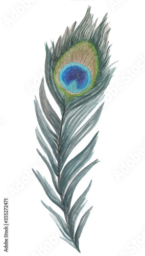 Peacock feather is Krishna s favorite decoration. Happy Janmashtami. Watercolor drawing