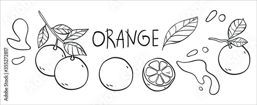 Orange vector doodle elements and lettering set. The inscription 