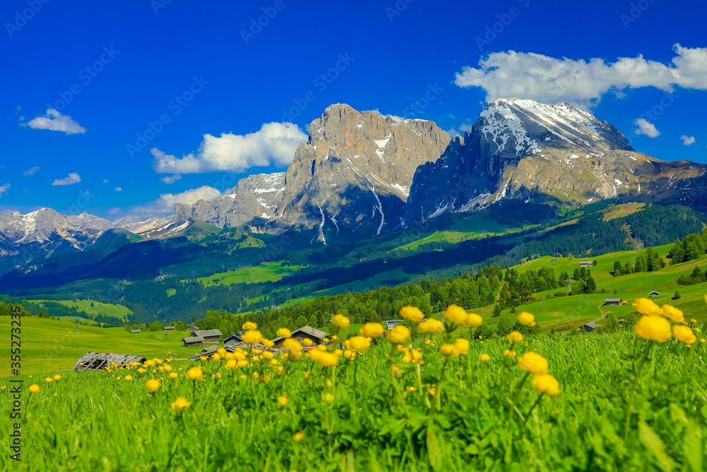 Alpi di Siusi - Dolomites - Mountains - Italy