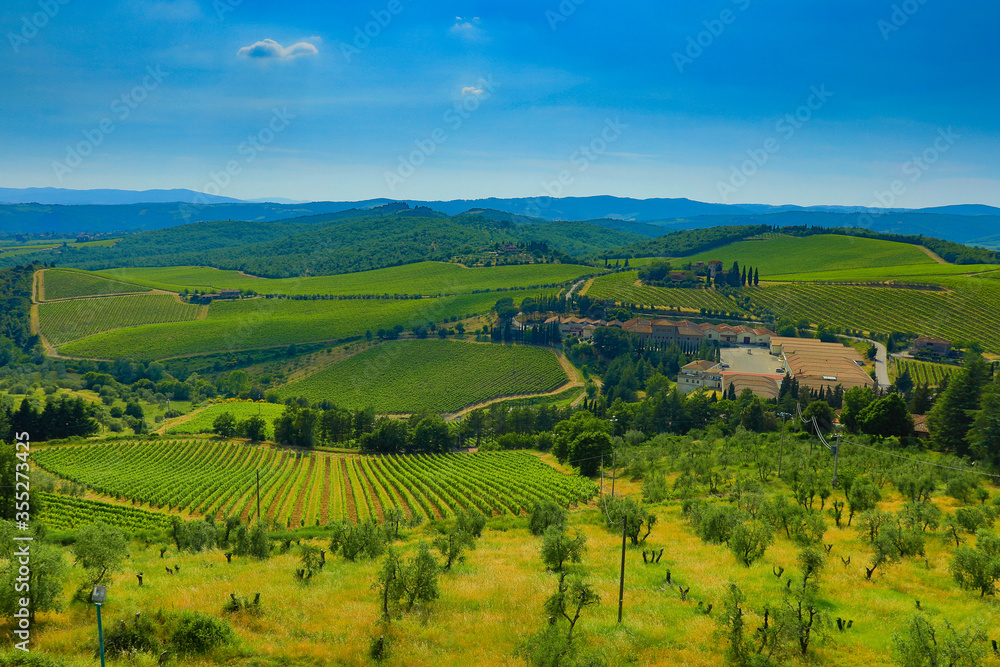 Fototapeta premium Toskański krajobraz z winnicą - Włochy