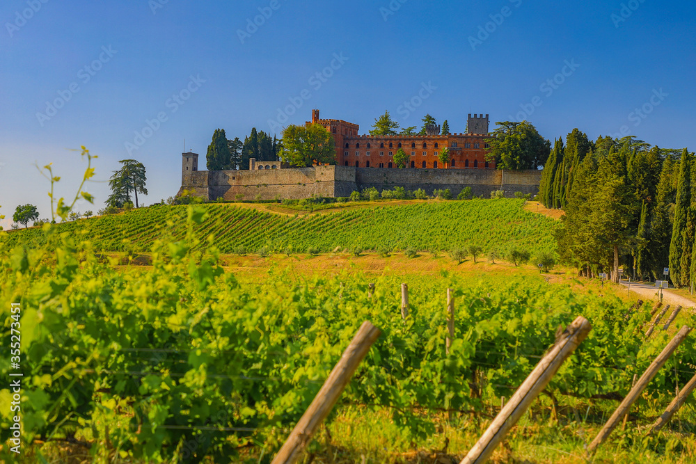 Brolio Castle and Vineyard in Tuscany - Italy