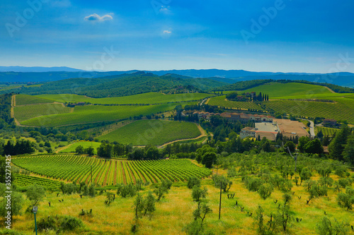 Tuscany Landscape with Vineyard - Italy