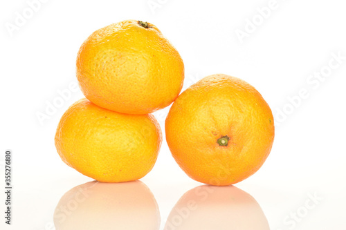 Bright yellow juicy, fresh, organic tangerines, close-up, on a white background.