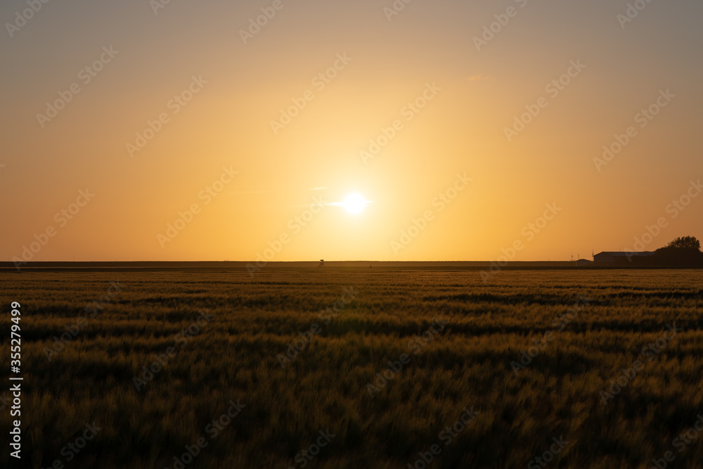 Feld bei Sonnenaufgang
