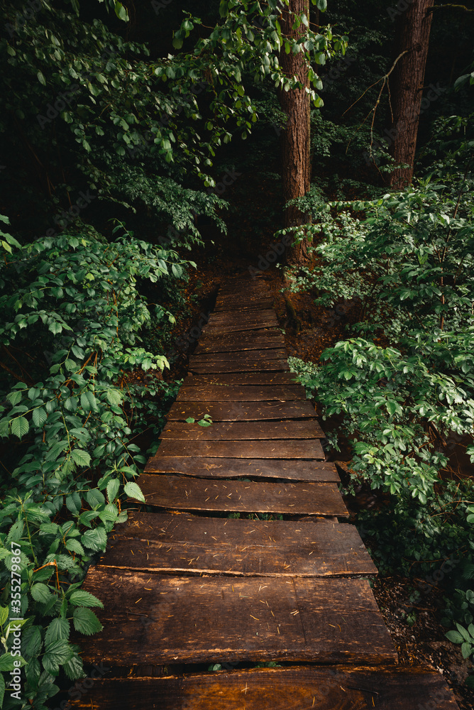 Landscape photo of wooden bridge over the forest stream on rainy day. Beautiful dark and moody scenic pov view on old wooden bridge crossing the river - moody and folk toned photo. Jungle bridge. Landscape photo of wooden bridge over the forest stream on rainy day. Beautiful dark and moody scenic pov view on old wooden bridge crossing the river - moody and folk toned photo. Jungle bridge.
