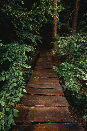 Landscape photo of wooden bridge over the forest stream on rainy day. Beautiful dark and moody scenic pov view on old wooden bridge crossing the river - moody and folk toned photo. Jungle bridge. © Matt Benzero