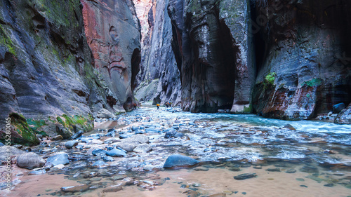 narrows Zion national park