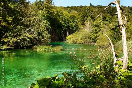 Landscape of waterfall and turquoise lake in the forest. Plitvice Lakes National Park. Nacionalni park Plitvicka Jezera  one of the oldest and largest national parks in Croatia. UNESCO World Heritage.