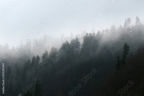 Fototapeta Naklejka Na Ścianę i Meble -  Mountain Clouds at Newfound Gap, Smoky Mountains National Park, Tennessee, USA