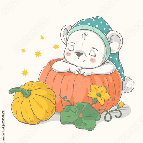 Vector illustration of a cute baby bear, sleeping in an orange pumpkin.