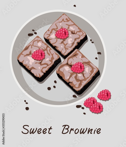 vector chocolate brownies in a plate