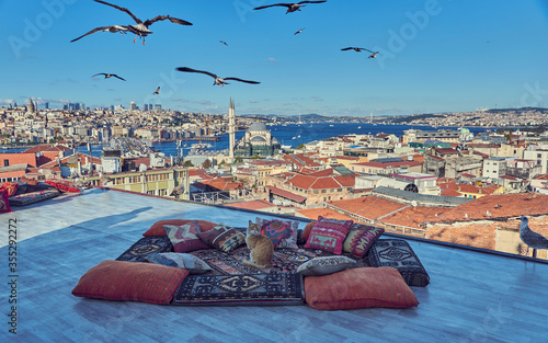Canvas Print Cat is posing on traditional turkish carpet and pillows with Istanbul panorama background