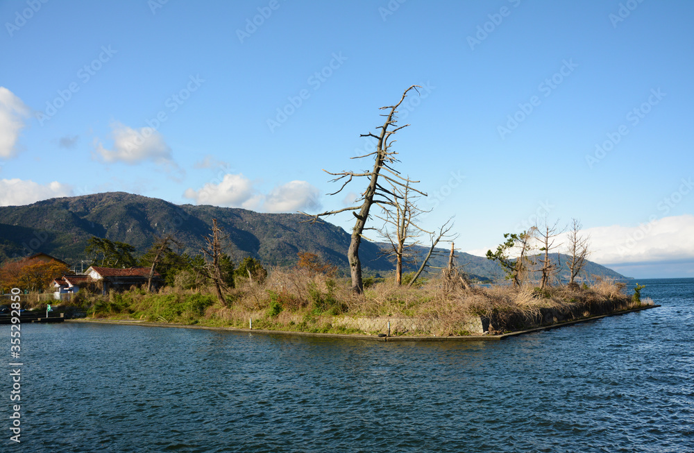 Trees in the peninsula in the lake of Japan