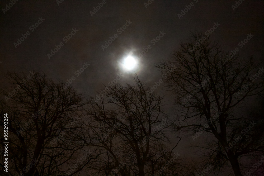 moon and clouds moon and clouds