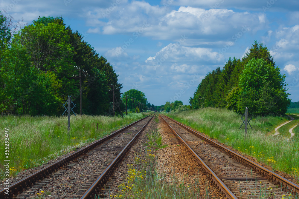 Landscape with railroad tracks, perspective rails surrounded by greenery, trees and blue sky Landscape with railroad tracks, perspective rails surrounded by greenery, trees and blue sky
