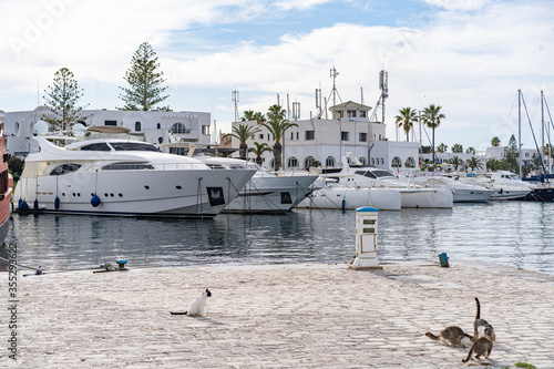 The tourist marina bay of El Kantaoui, near Sousse, in Tunisia . photo