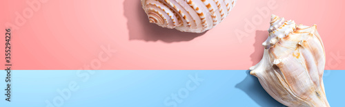 Summer concept with seashells overhead view - flat lay