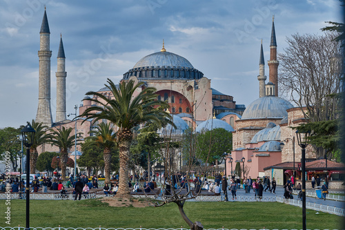Photography View of Hagia Sophia at tulip festival, Istanbul, Turkey