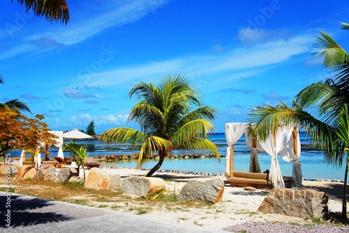 paradise island with palm tree white sand and blue ocean
