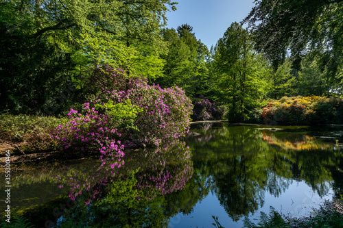 pond in the park