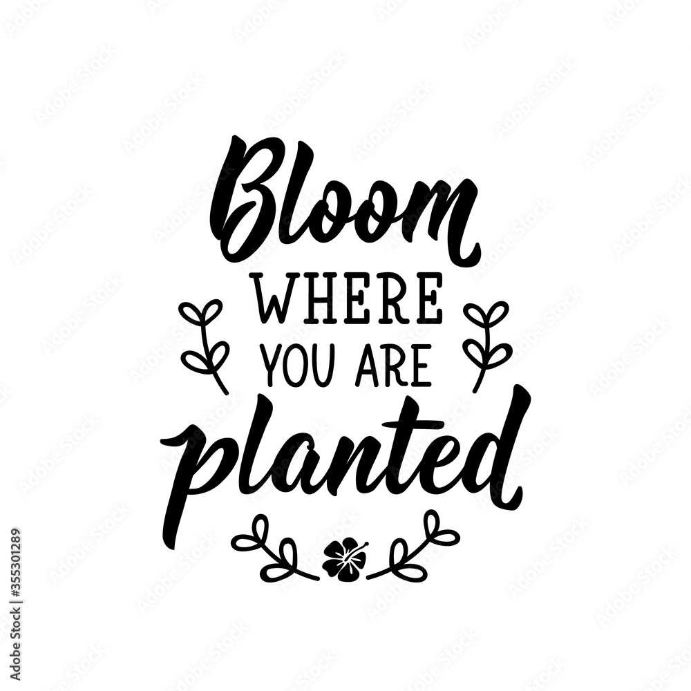 Bloom where you are planted. Vector illustration. Lettering. Ink illustration.