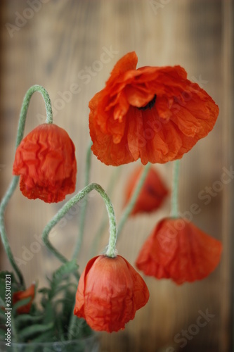 Red poppies on a wooden background
