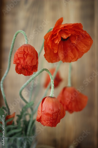 Red poppies on a wooden background