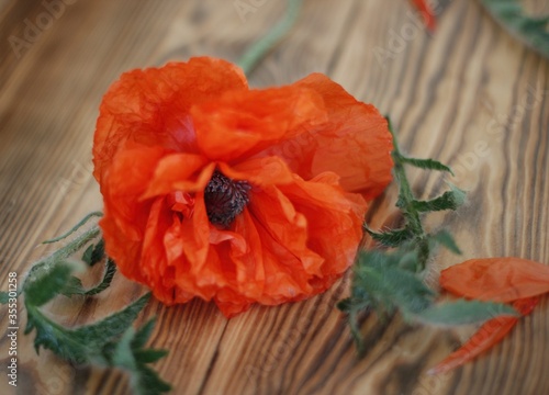 Red poppies on a wooden background