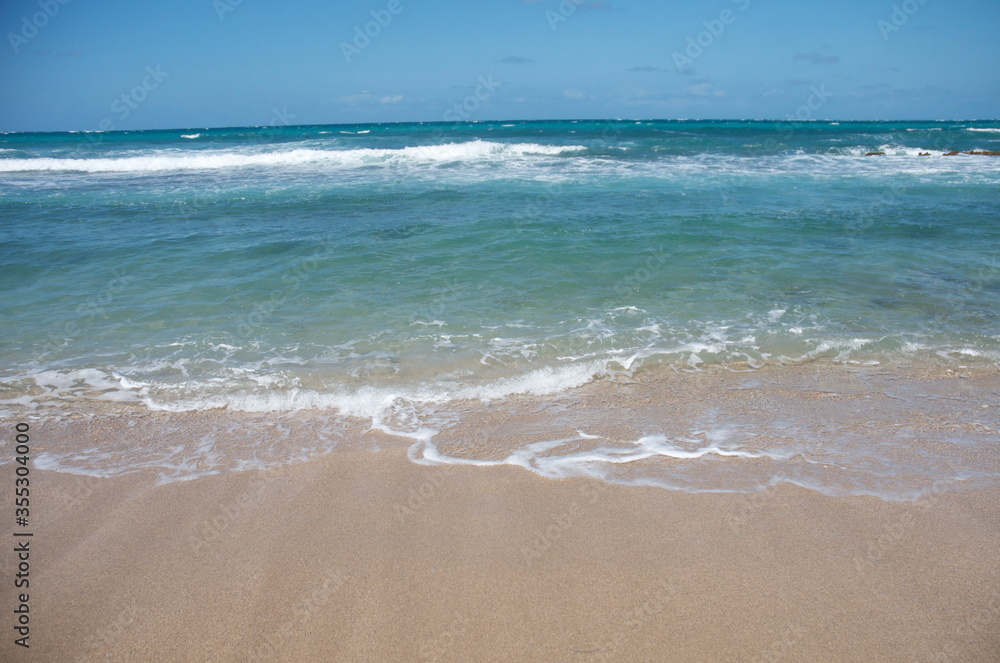 Peaceful blue water and ocean waves roll in on a shallow beach with taupe-colored sand and frothy white residue.. Lots of room for vacation dialog text.