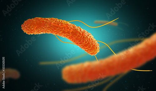 Food Poisoning, Salmonella