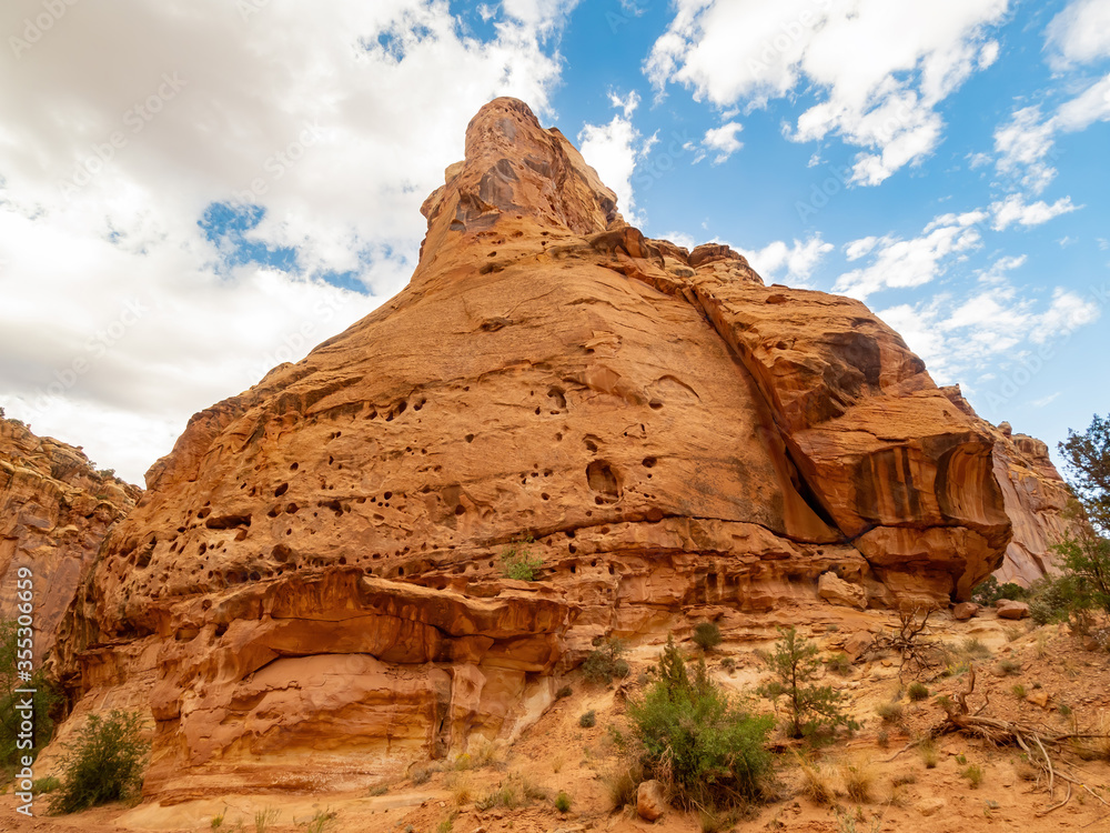 Fototapeta premium Beautiful landsacpe along the Capitol Gorge Road of Capitol Reef National Park
