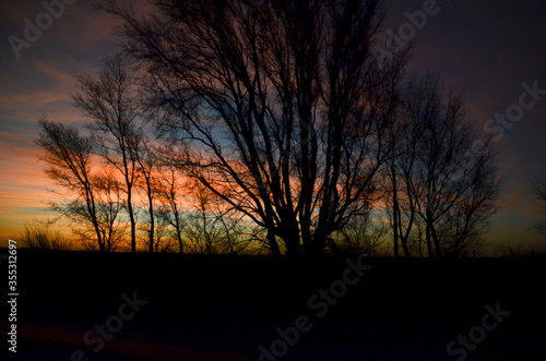 sunset in the forest