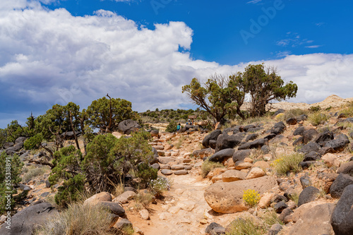 Beautiful landscape around the Hickman Bridge Trail of Capitol Reef National Park