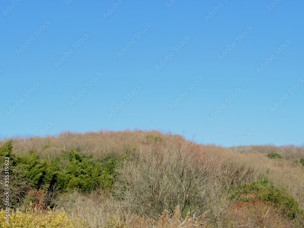 日本の田舎の風景　1月　真冬の山の木々と青空