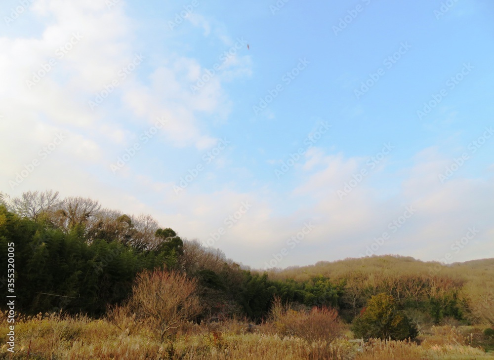 日本の田舎の風景　1月　真冬の山の木々と夕陽