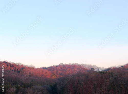 日本の田舎の風景 1月 真冬の朝日と山の木々 朝焼け