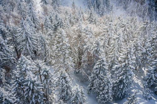 Snow covered pine trees on the background of mountain peaks. Panoramic view of the snowy winter landscape at Shinhotara Ropeway, Japan